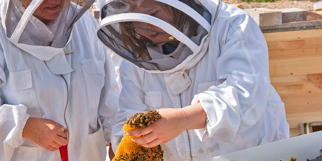 Apiary Technician